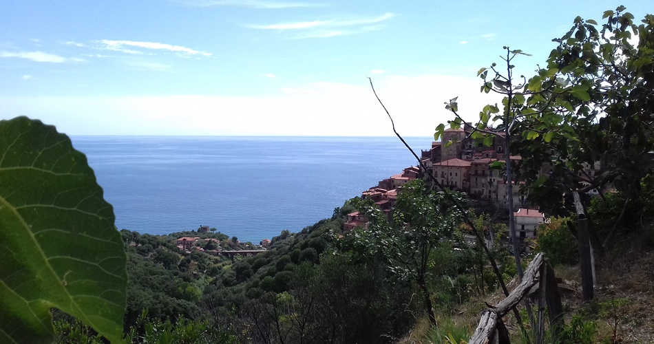 Il mare di Pisciotta